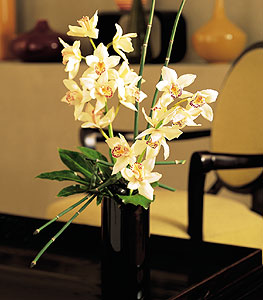  Bitlis iekiler  cam yada mika vazo ierisinde dal orkide