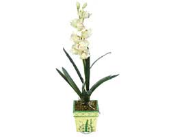 zel Yapay Orkide Beyaz   Bitlis online ieki , iek siparii 