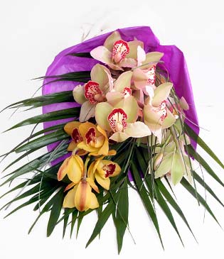  Bitlis cicekciler , cicek siparisi  1 adet dal orkide buket halinde sunulmakta