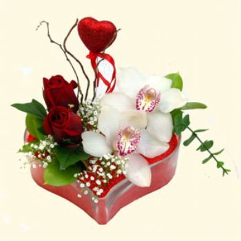  Bitlis hediye sevgilime hediye iek  1 kandil orkide 5 adet kirmizi gl mika kalp