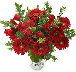 5 adet kirmizi gül 5 adet gerbera aranjmani  Bitlis hediye çiçek yolla 
