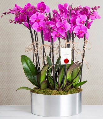 11 dall mor orkide metal vazoda  Bitlis iek gnderme sitemiz gvenlidir 