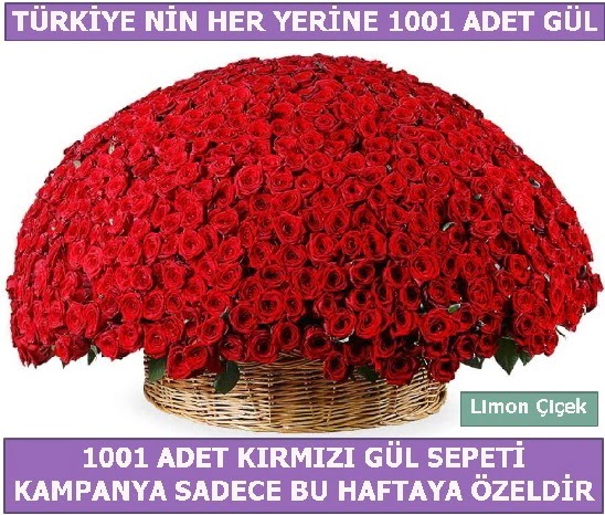 1001 Adet kırmızı gül Bu haftaya özel  Bitlis İnternetten çiçek siparişi 