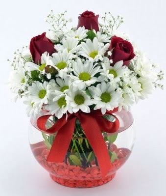 Fanusta 3 Gül ve Papatya  Bitlis internetten çiçek satışı 
