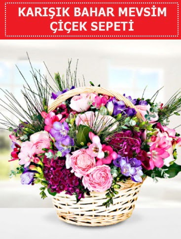 Karışık mevsim bahar çiçekleri  Bitlis ucuz çiçek gönder 