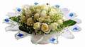 cam günes ve dolunay bembeyaz  Bitlis çiçek , çiçekçi , çiçekçilik 