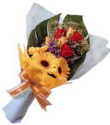 güller ve gerbera çiçekleri   Bitlis çiçek gönderme sitemiz güvenlidir 