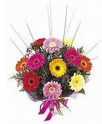 karisik gerbera çiçekleri  Bitlis çiçek yolla 