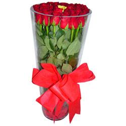  Bitlis çiçek online çiçek siparişi  12 adet kirmizi gül cam yada mika vazo tanzim
