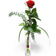  Bitlis 14 şubat sevgililer günü çiçek  Sana deger veriyorum bir adet gül cam yada mika vazoda