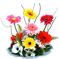  Bitlis hediye çiçek yolla  camda gerbera ve mis kokulu kir çiçekleri 