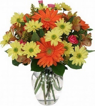  Bitlis hediye sevgilime hediye çiçek  vazo içerisinde karışık mevsim çiçekleri