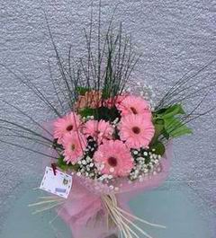  Bitlis hediye çiçek yolla  Pembe gerbera mevsim çiçekleri