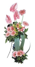  Bitlis güvenli kaliteli hızlı çiçek  Pembe Antoryum Harikalar Rüyasi